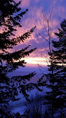 Sunny Slope Bed and Breakfast